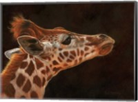 Framed Giraffe Portrait