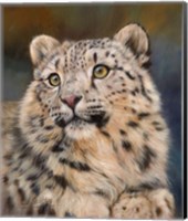 Framed Snow Leopard 6