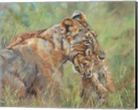 Framed Lioness And Cub