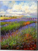 Framed Lavender Field