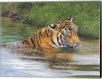 Framed Tiger Water 2