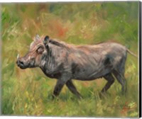 Framed Warthog