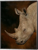 Framed Rhino 2