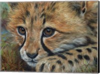 Framed Cheetah Cub Close
