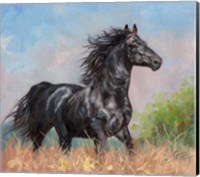 Framed Black Horse