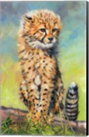 Framed Baby Cheetah Awakens!