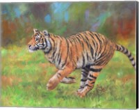 Framed Tiger Running