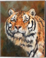 Framed April Tiger