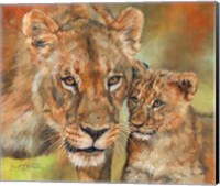 Framed Lioness And Cub