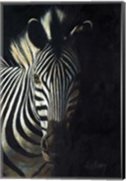 Framed Zebra Fade To Black