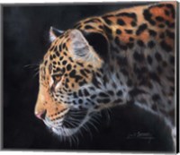 Framed Jaguar Portrait