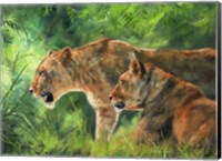 Framed Lionesses