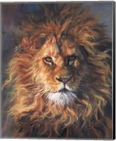 Framed Lion Portrait