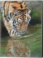 Framed Tiger Cub Reflections