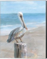 Framed Pelican by the Sea