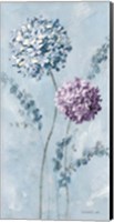 Framed Airy Blooms II Purple