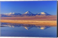 Framed Licancabur Stratovolcano Reflected in Laguna Tebinquinche, Chile