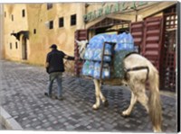 Framed Mule Carrying Water, Through the Medina in Fes, Morocco, Africa