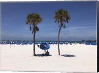 Framed Umbrella, Chairs and Palm Trees on Clearwater Beach, Florida