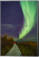 Framed Auroral Arc Over the Boardwalk at Rotary Park in Yellowknife