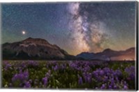 Framed Summer Milky Way and Mars Over Waterton Valley and Vimy Peak