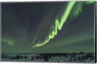 Framed Auroral Curtain Over Churchill, Manitoba