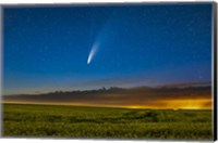 Framed Comet NEOWISE Over a Ripening Canola Field in Southern Alberta