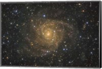 Framed Intermediate Spiral Galaxy IC 342