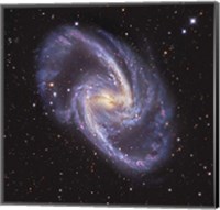 Framed NGC 1365, Double-Barred Spiral Galaxy in the Constellation Fornax