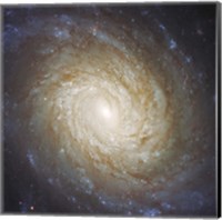 Framed Nucleus of Spiral Galaxy NGC 976