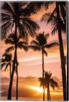 Framed Palm Trees At Sunset Of Maui, Hawaii