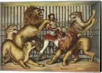 Framed Lion Tamer in Cage with Lions and Tigers