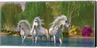 Framed Unicorns Cool Off in a Summer Stream