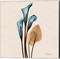 Framed Calla Lily Blue Brown