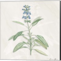 Framed Blue Botanical 1