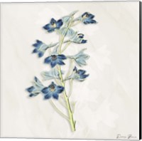 Framed Blue Botanical 3