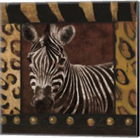 Framed Zebra bordered