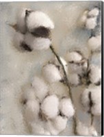 Framed Sprays of Cotton 2