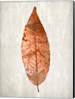 Framed Copper Leaves 1