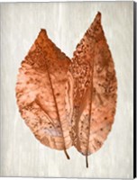 Framed Copper Leaves 2