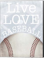 Framed Baseball Love