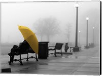 Framed Sitting In The Rain