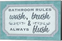 Framed Wash Brush Flush