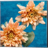 Framed Orange Chrysanthemums