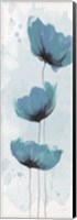Framed Blue Poppies 1