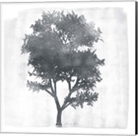 Framed Tree 2