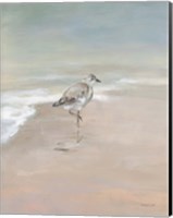 Framed Shorebirds on the Sand II