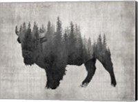 Framed Pine Bison