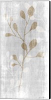 Framed Botanical Stem 2