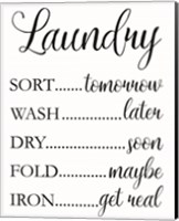 Framed Laundry Words 1